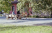 Bulgarian farmers